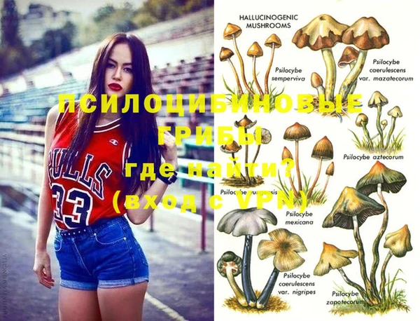 герыч Арсеньев