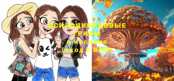 тгк Аркадак