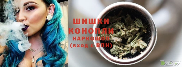 PSILOCYBIN Рославль