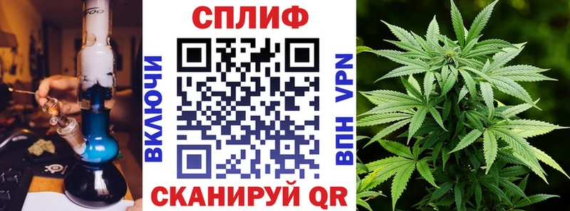 Каннабис индика  Новотроицк 